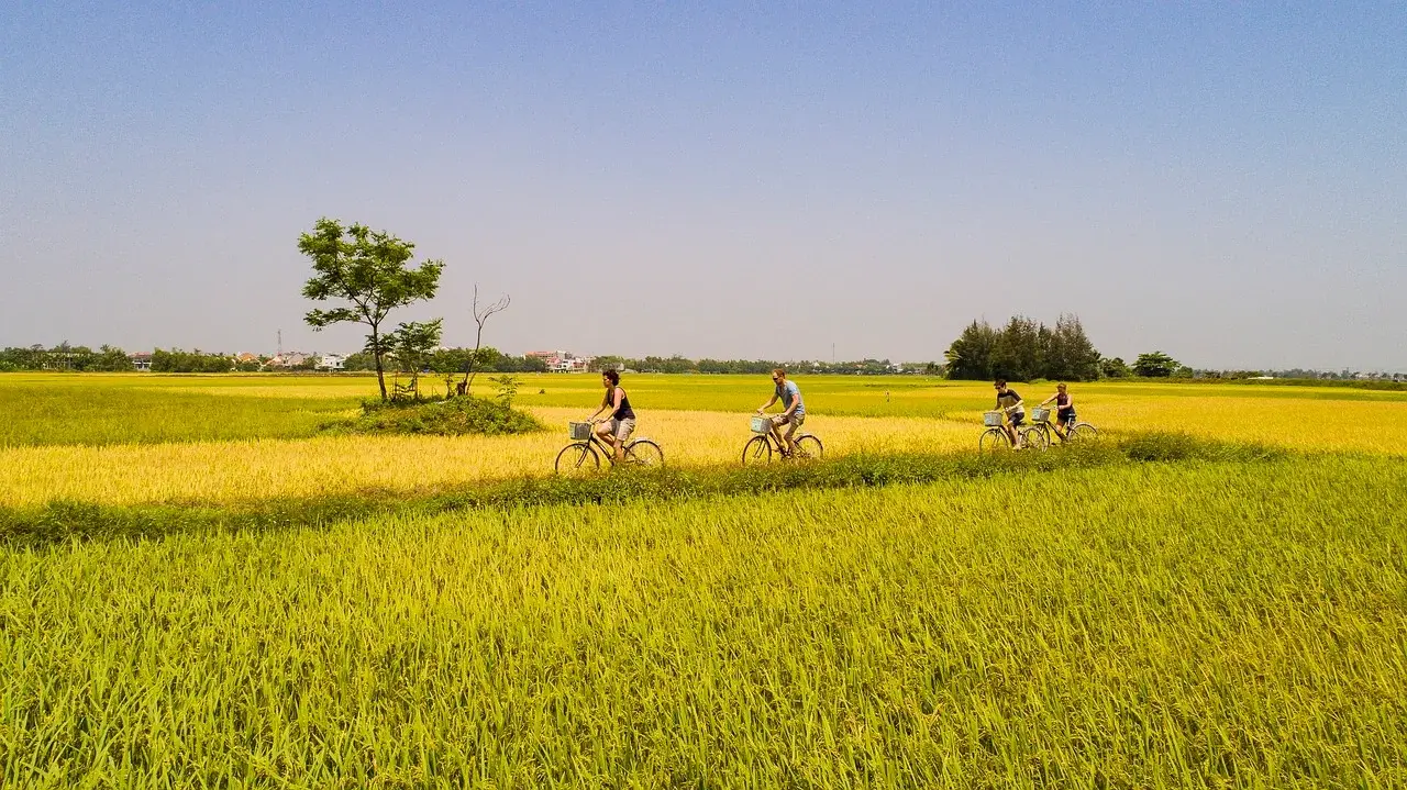 Cycling_Rice_Fields_Sustainable_Travel_Vietnam
