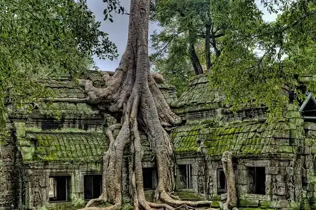 Angkor_Wat_Temples_Cambodia_Angkor_Wat_Tour