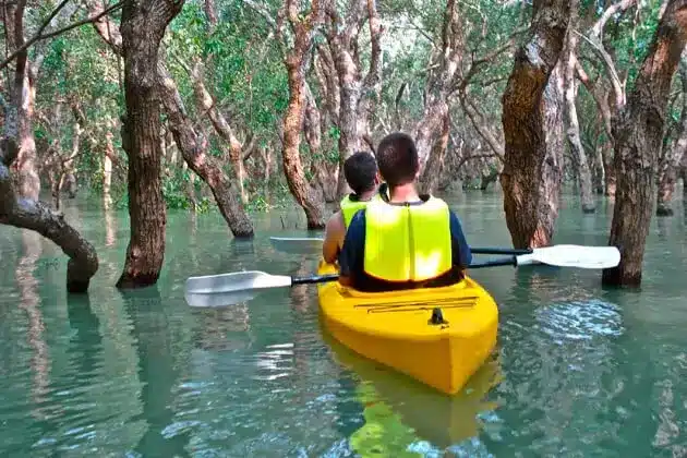 kayaking_mangrove_forests_Adventure_Tours_Cambodia
